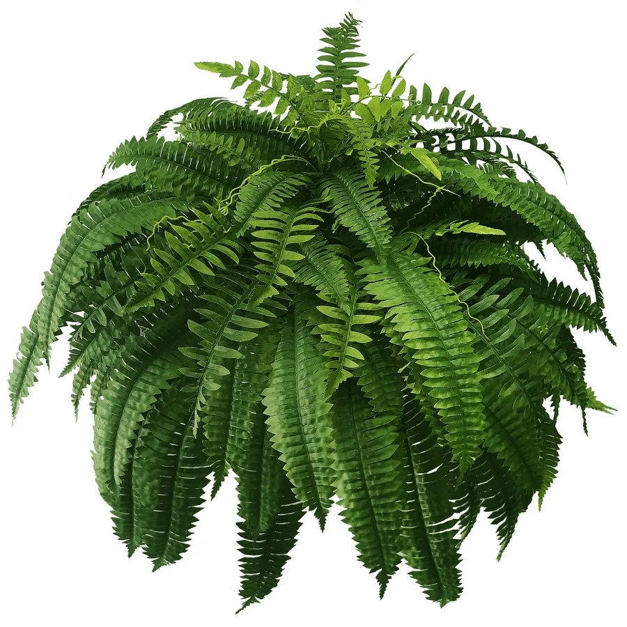 🍀Last Day 75% OFF--UV Resistant Lifelike Artificial Boston Fern🍀